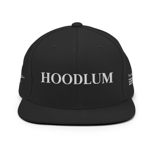 Baseball Rebel Snapback - The Hoodlum Co.