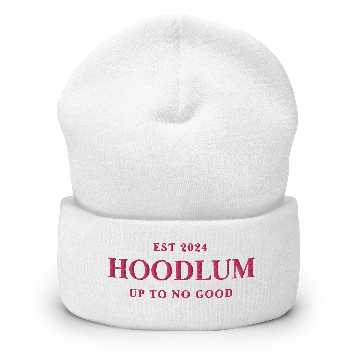 Sidewalk Thug Beanie - The Hoodlum Co.